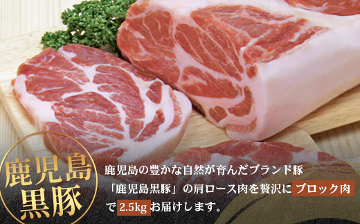【南大隅町限定】かごしま黒豚 肩ロースブロック （約2.5kg）  NS-3 | 肉 豚肉 ぶた 豚 ブタ 黒豚 かごしま黒豚 肩ロース ブロック 新鮮 産地直送 豚肉 限定 鹿児島県 南大隅町 南大隅町