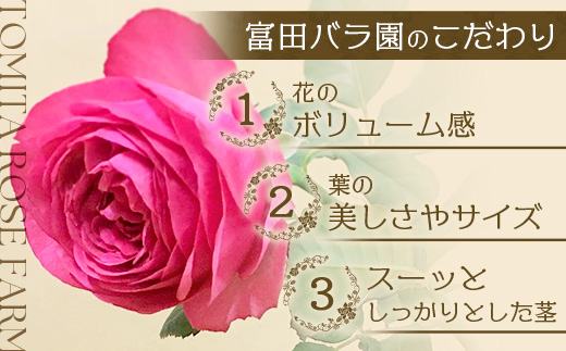 ※先行予約※【数量限定・ギフト】 ばら農家直送！深紅の薔薇20本お届け TB-17│ローズ 新鮮 バラ 花 フラワー 花束 ばら 薔薇 誕生日 記念日 結婚祝い プロポーズ ギフト プレゼント お祝い 贈り物 贈答 鹿児島県 南大隅町 富田バラ園