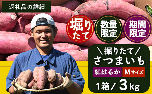 【期間限定！数量限定！】掘りたて さつまいも 紅はるか 3kg Mサイズ (自宅で簡単レシピ付き）FR-203 | 秋の味覚 2026年秋収穫 新物 さつまいも サツマイモ 感動サツマイモ 焼き芋 べにはるか 使いやすい 野菜 おやつ おかず お弁当 煮物 芋ごはん 味噌汁 産地直送 鹿児島県 南大隅町 株式会社フォレスト
