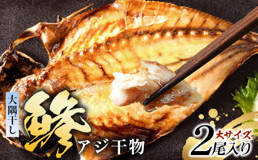 鹿児島県産 アジ 干物 大サイズ×2枚 ≪合計2枚≫［1枚 約22～25センチ］PT-1 | 開き 大隅干し 冷凍 国産 鯵 ひもの 海鮮 新鮮 瞬間冷凍 産地直送 鹿児島県 南大隅町 ピットスリー