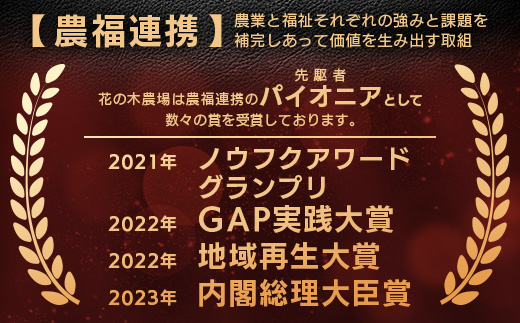 花の木農場 豚肉 ハンバーグ セット （100g×3個×6P） HK-4｜ 冷凍 ハンバーグ パック 豚肉 国産 ひき肉 お弁当 おかず 惣菜 手作り 農福連携 鹿児島県 南大隅町 第2花の木ファーム
