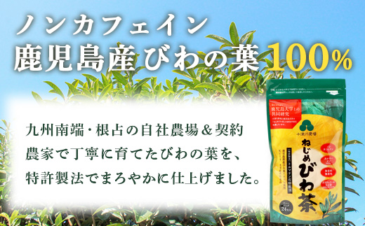 【定期便 全12回】≪12ヶ月連続で毎月お届け≫ 鹿児島県産 ねじめびわ茶 ティーバック ≪1回あたり(24包入×1袋) ≫ ノンカフェイン TO-3-NP| 国産 お茶 健康 茶 カロリーゼロ 無香料 無着色 ポリフェノール さわやか 甘み 香ばしい おいしい トルマリン石焙煎 びわの葉 産地直送 ネコポス 鹿児島県 南大隅町 十津川農場