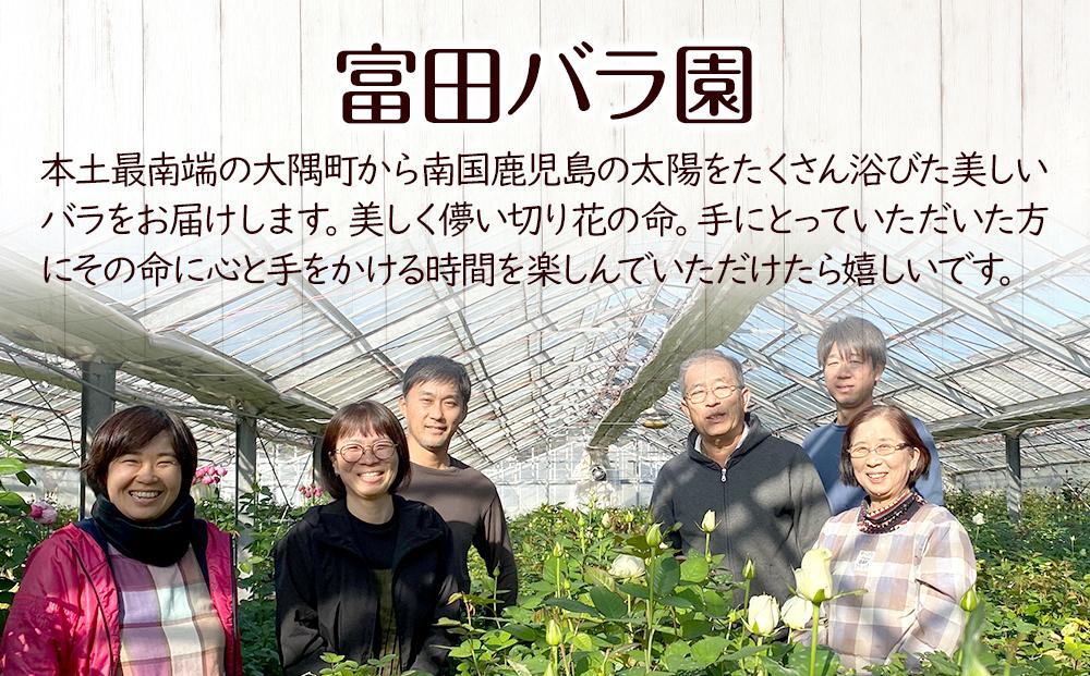 【ご自宅用・満足20本】バラ農家直送！バラ花束