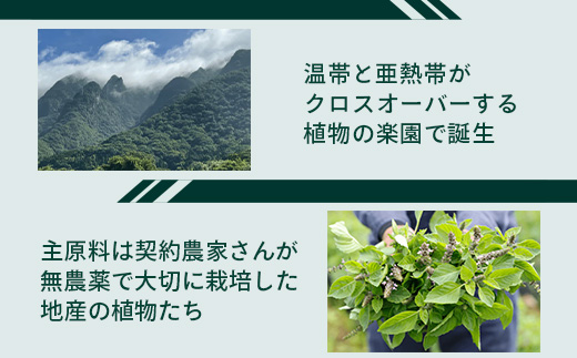 ナイトモイスチャー フェイシャルソープ オリエンタルブーケ 約45g×1個 BS-2｜石鹸 せっけん 美容 角質ケア 植物 エキス スキンケア 天然由来 アロマ スキンケア フェイシャル 弱アルカリ性 無添加 鹿児島県 南大隅町 ベースシー ボタニカルファクトリー