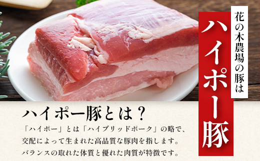 【全３回定期便】厳選！花の木農場スペシャル定期便 HK-26│定期便 ハム ベーコン クラフトハム 人気 豚肉 しゃぶしゃぶ 豚しゃぶ スライス バラ ロース モモ 鍋 惣菜 おかず お弁当 肉 国産 ノウフク 農福連携 鹿児島県 南大隅町 第2花の木ファーム