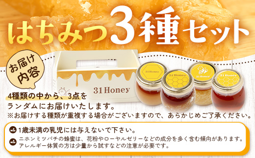 【数量限定】日本みつばち蜂蜜 31Honey（サーティーワン ハニー） ハチミツ3種セット（100g×3個） MM-1｜はちみつ 日本みつばち 養蜂 百花蜜 瓶詰 産地直送 常温 鹿児島県 南大隅町 南大隅町日本みつばち研究会
