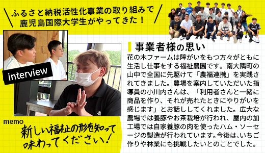 《全6回定期便》<2ヶ月に１回お届け> 花の木農場【ハム詰め合わせセット】7種 計1,000g HK-19│定期便 ハム ベーコン クラフトハム 人気 南大隅町 第2花の木ファーム ノウフク ソーセージ 詰め合わせ セット ウインナー 国産 厳選
