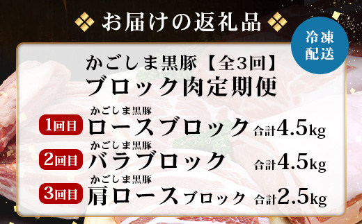 ［新春］≪全3回≫【南大隅町限定】 食べ応え満点 ！ ★ かごしま黒豚 ブロック肉 定期便 ★ 鹿児島県産 NS-26 ｜ 肉 豚肉 ぶた 豚 ブタ 黒豚 鹿児島黒豚 ロース ブロック バラ 肩ロース バラブロック 肩ロースブロック ファミリー 産地直送 肉定期便 鹿児島県 南大隅町 南州農場