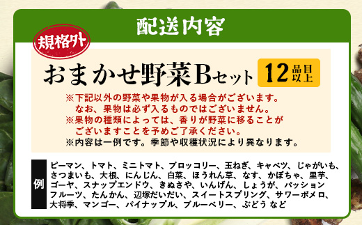 【規格外】本土最南端から 旬のおまかせ野菜セットB 12品目以上 NI-6｜ 旬 野菜 やさい 果物 くだもの 産地直送 農産物 冷蔵 鹿児島県 南大隅町産 詰合せ おまかせ 家庭用 訳あり なんたん市場