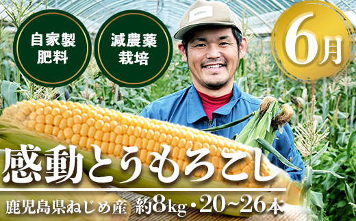【定期便・ 年4回】農家の感動シリーズＢ( 冷凍焼き芋 ゴールドラッシュ 塩茹で落花生  紅はるか )（AX72306）