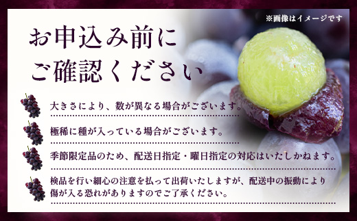 【期間限定・数量限定】本土最南端のぶどう 高墨 約2kg(4～6房）種無し TE-2｜ 黒ぶどう たかすみ 産地直送 旬 ブドウ 葡萄 ぶどう フルーツ 果物 くだもの 果実 巨峰 枝変わり 鹿児島県 南大隅町 有限会社ティエラ　