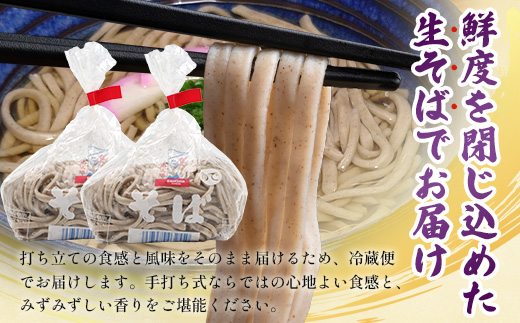 手打ち式そば(スープ付き)3食 MT-510 | そば 蕎麦 ソバ おそば お蕎麦 麺 年越し蕎麦 手打ち 本格 国産 スープ ストレートつゆ ざるそば かけぞば めんつゆ付き やまいも 簡単調理 喉ごし 老舗 鹿児島県 南大隅町 松元食品