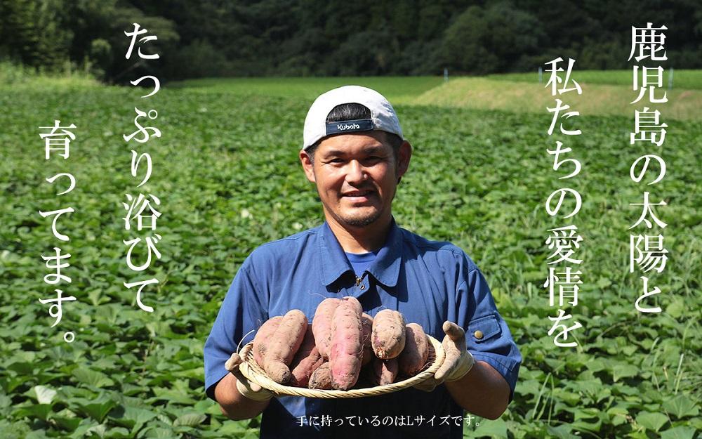 【鹿児島県産】 熟成 紅はるか 3kg (1箱 ) Sサイズ さつまいも