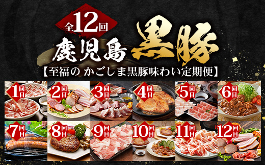 【全12回】至福の かごしま黒豚 味わい定期便 NS-37 | 鹿児島 かごしま 豚 豚肉 ぶた おかず しゃぶしゃぶ 餃子 味噌漬け 生ハム 生姜焼き ハンバーグ ウインナー ハム ソーセージ 焼き豚 切り落とし もも肉 肩ロース バラ 人気 定期便 鹿児島県 南大隅町