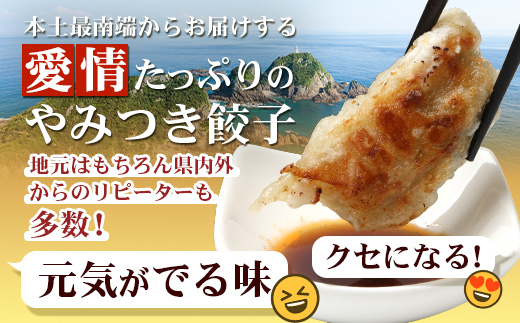 佐多の田中肉屋ニンニクたっぷりやみつき餃子 180個（12個入り×15パック） 餃子のタレ2本付き | ぎょうざ 餃子 ギョウザ にんにく スタミナ餃子 大容量 手作り おかず ビールと一緒に 冷凍 産地直送 鹿児島県 南大隅町 田中精肉店　TA-1