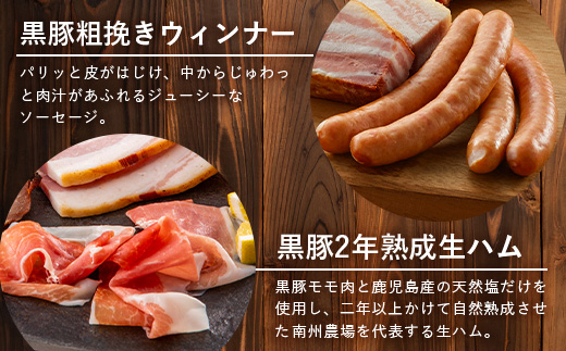 【父の日ギフトに】南州農場 かごしま黒豚 ハム ソーセージ 5種 詰め合わせA（計710g）NS-512-FA｜父の日 肉 お肉 豚肉 豚 にく ぶた かごしま黒豚 ソーセージ チャーハン ポトフ スープ 詰め合わせ お弁当 おつまみ 野菜炒め 冷蔵 お弁当 おかず 贈答 ギフト プレゼント 贅沢 お取り寄せ 産地直送 自社農場 鹿児島県 南大隅町 南州農場