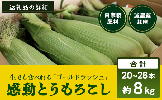 【2026年先行予約】【数量限定】感動とうもろこし ( 約8kg / 20〜26本 ) 鹿児島産 ゴールドラッシュ（FR-522）