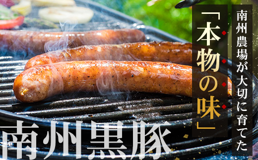 鹿児島県産 BBQ-BOXⅠ ハム ソーセージ ベーコン 詰め合わせ セット NS-24 | かごしま 黒豚 生ハム ボロニア ウインナー ソース ジャーキー おつまみ バーベキュー 焼き肉 肉 肉汁 香ばしい 低添加製法 冷凍 鹿児島県 南大隅町 南州農場