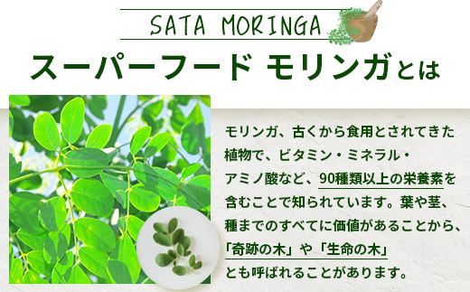 モリンガパウダー 75g(25g×3袋)「本土最南端からのおくりもの」