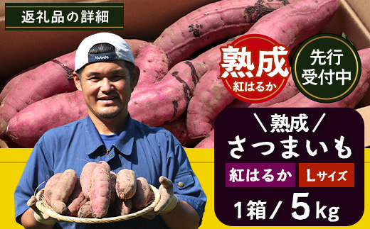 先行予約【2025年11月下旬より順次発送】【鹿児島県産】熟成 紅はるか 5kg (1箱 ) Lサイズ さつまいも（AX72216）