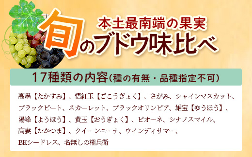 【数量限定！本土最南端ぶどう】旬のブドウ味くらべ２キロ（５～６房）｜ぶどう 葡萄 ブドウ 果物 人気  新鮮 高級 ギフト 鹿児島県 南大隅町 贈答 くだもの  期間限定 数量限定 TE708