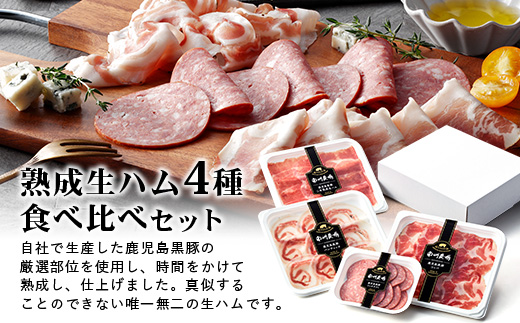 【定期便】南州農場 黒豚熟成生ハム4種食べ比べ セット 約540g 全3回 | 国産 肉 お肉 豚肉 豚 にく ぶた かごしま黒豚 生ハム 最高峰 熟成ハム コッパ パンチェッタ コッホサラミ スパイス サラミ 冷蔵 詰め合わせ 産地直送 ギフト プレゼント 贈り物 鹿児島県 南大隅町 NS-519