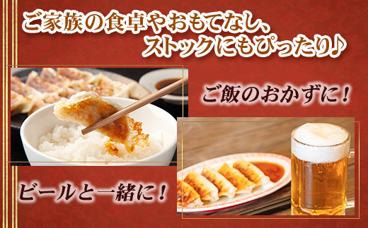 佐多の田中肉屋ニンニクたっぷりやみつき餃子 120個