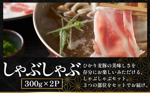 鹿児島県産 ひかり麦豚【しゃぶしゃぶ 食べ比べ + とんかつ肉 + ハンバーグ】セット ≪合計1.1㎏≫ HM-702  | 肉 お肉 にく 豚肉 ロース 肩ロース バラ肉 スライス 冷凍 産地直送 新鮮 送料無料 鹿児島県 南大隅町