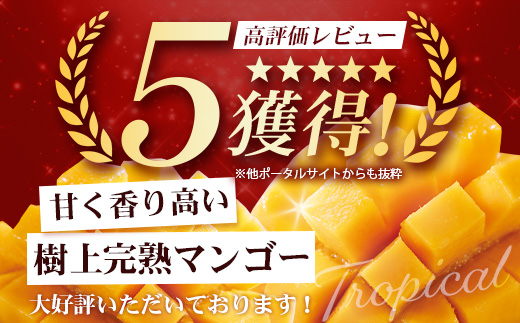 【先行予約】☆本土最南端☆佐多の果樹園で育てた 完熟アップルマンゴー 2kg (3～5玉) 【2026年7月上旬以降順次発送】 ST-408 ｜鹿児島県 南大隅町 産地直送 旬 マンゴー フルーツ 果物 くだもの アップル マンゴー 詰め合わせ 第一佐多果樹園