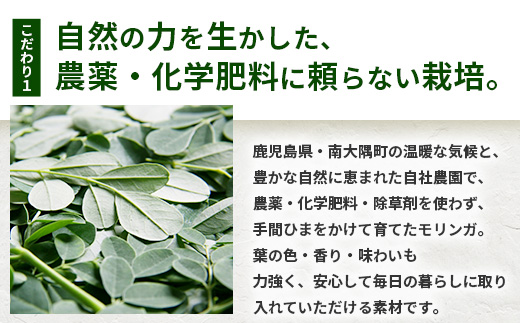 モリンガパウダー 75g(25g×3袋)「本土最南端からのおくりもの」