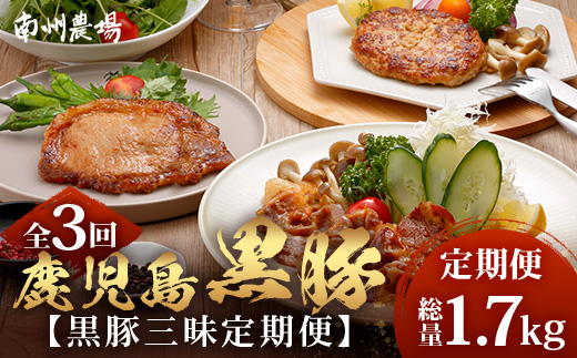 ≪全3回≫ 鹿児島県産 黒豚三昧 定期便 ♪ ＜ 黒豚味噌漬け 生姜焼き 生ハンバーグ ＞ ★☆＼＼ 黒豚ロース味噌漬け バナナマンの早起きせっかくグルメで紹介されました！！／／☆★ 南州農場 かごしま黒豚 NS-29 | 肉 お肉 豚肉 豚 にく ぶた 鹿児島黒豚 ハンバーグ 味噌漬け 生姜焼き おかず ジューシー お弁当 国産 肉定期便 鹿児島県 南大隅町 南州農場