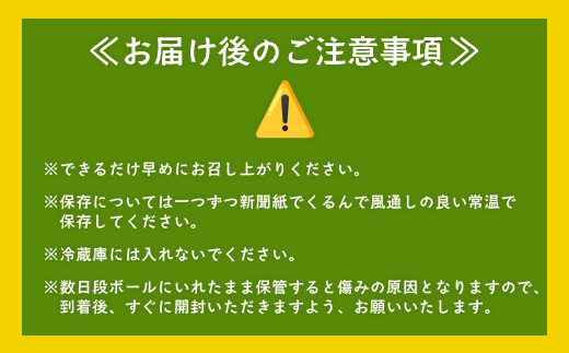 【先行予約：11月下旬配送～】熟成 さつまいも 紅はるか 3kg Mサイズ (美味しい焼き芋の焼き方 説明書付き） FR-213 ｜ 秋の味覚 2026年秋収穫 貯蔵 長期熟成 糖化 さつまいも サツマイモ 感動サツマイモ 焼き芋 べにはるか 使いやすい 野菜 ねっとり 濃厚 おやつ おかず お弁当 煮物 芋ごはん 味噌汁 産地直送 鹿児島県 南大隅町 株式会社フォレスト