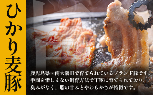 サムギョプサル用 厚切り豚バラ肉 約900g（300g×3パック） ひかり麦豚 トレーなし HM-19 ｜ サムギョプサル 肉 お肉 にく 豚肉 バラ肉 厚切り 冷凍 真空冷凍 小分け 焼肉 BBQ 産地直送 鹿児島県 南大隅町 ひかり麦豚直売所