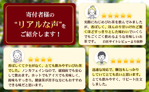 【定期便 12ヶ月全6回】 鹿児島県産 ねじめびわ茶 ボトル缶 12ケース ≪ 1回あたり48本 (24本入り×2箱) ≫ 2か月おきにお届け ノンカフェイン TO-525 | 国産 お茶 健康茶 カロリーゼロ 缶 持ち運び 無香料 無着色 ポリフェノール さわやか 甘み 香ばしい おいしい びわの葉 産地直送 鹿児島県 南大隅町 十津川農場