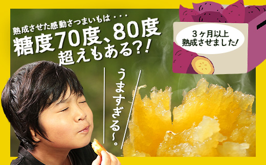 先行予約【 2026年1月より順次発送】さつまいも 熟成 紅はるか 2.5kg ( 500g × 5袋 ) SSサイズ 鹿児島県産