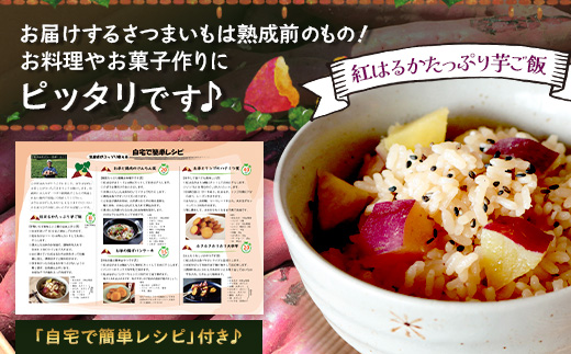 【先行予約：2026年9月中旬配送～】掘りたて さつまいも 紅はるか 3kg Lサイズ (自宅で簡単レシピ付き）FR-215 | 秋の味覚 2026年秋収穫 新物 さつまいも サツマイモ 感動サツマイモ 焼き芋 べにはるか 大きめ 野菜 おやつ おかず お弁当 煮物 芋ごはん 味噌汁 産地直送 鹿児島県 南大隅町 株式会社フォレスト