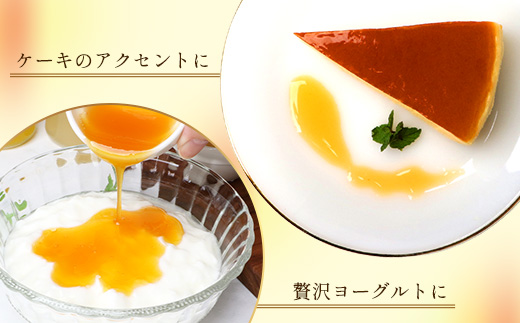 たっぷり！旬のフルーツソース３種セット（辺塚だいだい、パッションフルーツ、甘夏）125g×3本 NK-8｜フルーツ ソース 果物 新鮮 柑橘 辺塚だいだい へつか パッションフルーツ 甘夏 希少 シロップ 紅茶 アクセント アレンジ 鹿児島県 南大隅町 産地直送