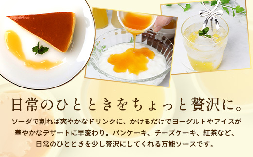 たっぷり！旬のフルーツソース３種セット（辺塚だいだい、パッションフルーツ、甘夏）125g×3本 NK-8｜フルーツ ソース 果物 新鮮 柑橘 辺塚だいだい へつか パッションフルーツ 甘夏 希少 シロップ 紅茶 アクセント アレンジ 鹿児島県 南大隅町 産地直送