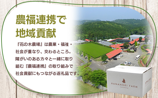 花の木農場【人気惣菜セット】３種｜餃子 ハンバーグ ハムコロッケ 惣菜 簡単調理 肉 国産 厳選 ノウフク　HK-504