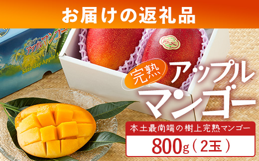 ≪マンゴー≫ ☆本土最南端☆佐多の果樹園で育てた 完熟アップルマンゴー 800g ( 2玉 ) ｜鹿児島県 南大隅 産地直送 旬 マンゴー フルーツ 果物 くだもの V7406
