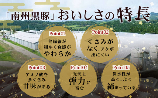 【鹿児島黒豚】ロース味噌漬け＆シャブシャブ詰合せ（3239）