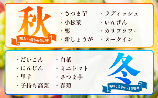 【定期便全3回】よくばり新鮮お野菜セット 12品目以上 NI-7 ｜ 旬 野菜 やさい 果物 くだもの 産地直送 農産物 冷蔵 鹿児島県 南大隅町産 詰合せ おまかせ 家庭用 なんたん市場