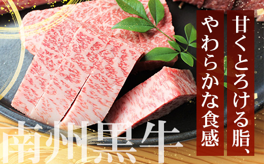 【南州黒牛】霜降りロースステーキ（3127）