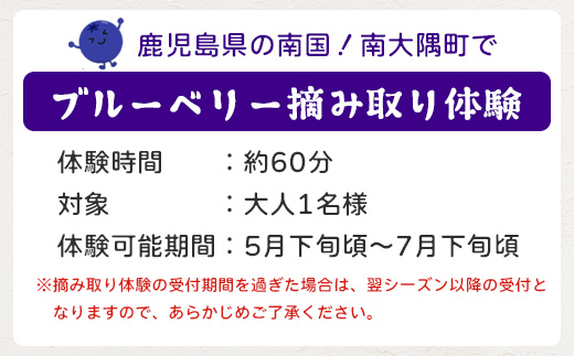鹿児島県の南国！南大隅町の農園で、ブルーベリー摘み取り体験♪ ブルーベリー摘み取り体験チケット ≪大人1名様分≫ BO-3｜鹿児島県 南大隅町 農園 収穫体験 果物 ブルーベリー チケット 体験 本土最南端