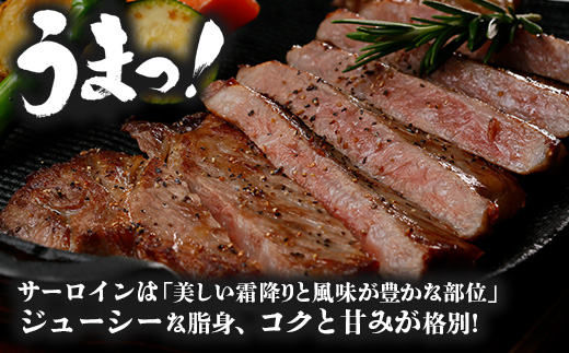 【鹿児島黒牛】サーロインステーキ 1,000g|鹿児島 牛 牛肉 うし サーロイン ステーキ 国産 肉（W7402）