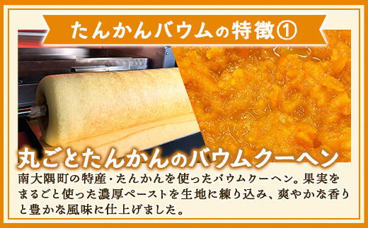 素材にこだわった南大隅町の手作りスイーツ ≪極≫ たんかん バウムクーヘン　1個