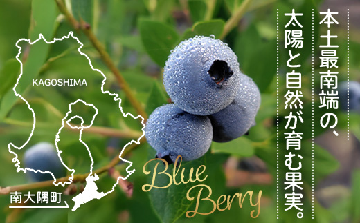 南大隅町産 ブルーベリージャム ≪180g×3パック≫ FW-1｜鹿児島県 南大隅町 ブルーベリー フルーツ ジャム パウチ 農園 本土最南端