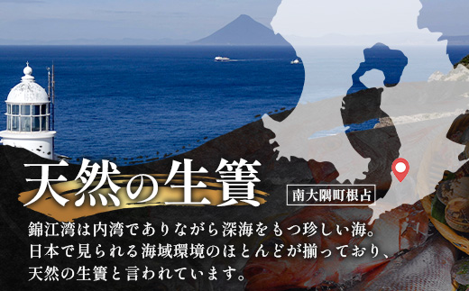 鹿児島県産 アジ 干物 大サイズ×2枚 ≪合計2枚≫［1枚 約22～25センチ］PT-1 | 開き 大隅干し 冷凍 国産 鯵 ひもの 海鮮 新鮮 瞬間冷凍 産地直送 鹿児島県 南大隅町 ピットスリー