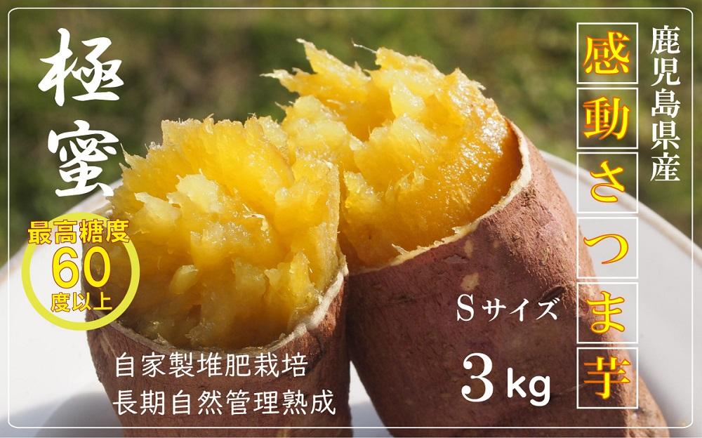 【鹿児島県産】 熟成 紅はるか 3kg (1箱 ) Sサイズ さつまいも