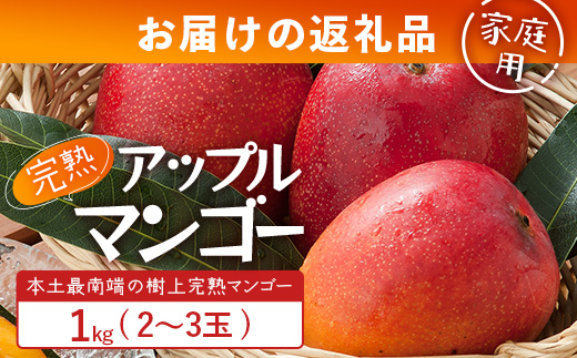 【先行予約】訳あり ☆本土最南端☆佐多の果樹園で育てた 完熟アップルマンゴー1kg (2〜3玉) 家庭用